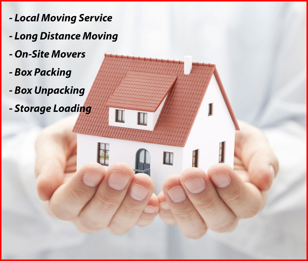 Packers And Movers Noida Sector 111